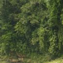 Rivers of Central America