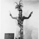 Carmen Miranda - 454 x 620