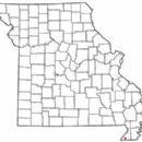 Unincorporated communities in Dunklin County, Missouri
