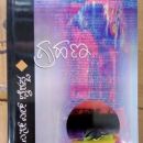 Novels by S. L. Bhyrappa