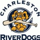 Professional baseball teams in South Carolina