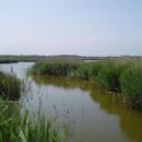 Hickling, Norfolk