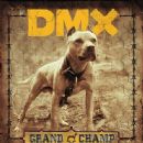 Grand Champion - DMX