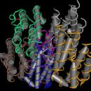 Antiviral drugs