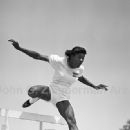 Evelyn Lawler