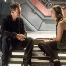The Flash - Tom Cavanagh - 454 x 313