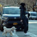 Julianna Margulies – Enjoys a stroll with her pooch in New York - 454 x 454