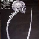 Films with screenplays by Krzysztof Piesiewicz