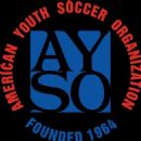 Youth soccer leagues in the United States