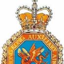 Reserve air forces