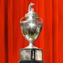 Domestic cricket competitions in 2009–10