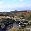 Dartmoor