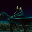 Harry Potter and the Deathly Hallows: Part 1 - Domhnall Gleeson - 454 x 255
