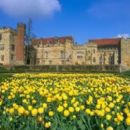 Penshurst Place
