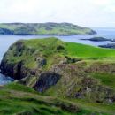 Calf Sound