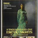 A Thousand and One Erotic Nights