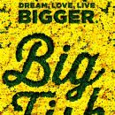 Big Fish (musical)