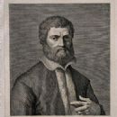 Taddeo Alderotti