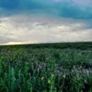Biosphere reserves of Russia