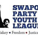 Youth wings of political parties in Namibia
