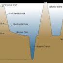 Abyssal plain