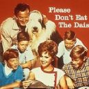 Please Don't Eat the Daisies - 320 x 245