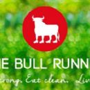 The Bull Runner