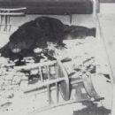 1969 murders in Italy