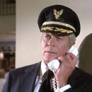 Airplane! - Peter Graves