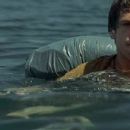 The Beach - Guillaume Canet