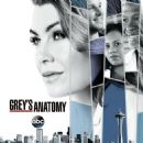Grey's Anatomy (season 14) episodes