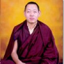 Minling Khenchen Rinpoche