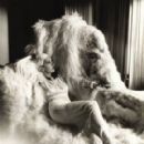 Gloria Swanson - 290 x 360