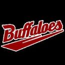 Defunct baseball teams in Japan