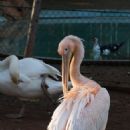Parks in Cyprus