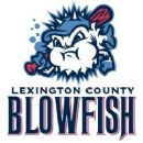 Amateur baseball teams in South Carolina
