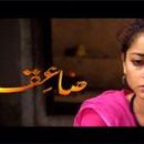 2009 Pakistani television series endings