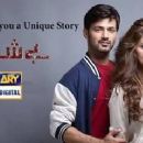 Besharam
