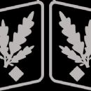 Gruppenführer