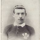 David Morgan (rugby player)
