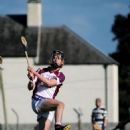 Brian Molloy (hurler)