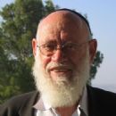 Moshe Levinger