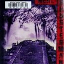 Everfound (novel)