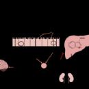 Bacteria described in 1923