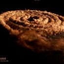 Recoiled - Coil