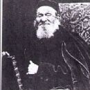 Eliyahu Soloveitchik