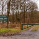 Forests and woodlands of Oxfordshire