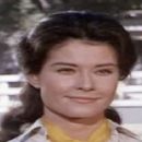 The Horse in the Gray Flannel Suit - Diane Baker - 454 x 364