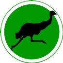Australian rules football clubs established in 2008
