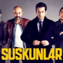 2012 television series debuts